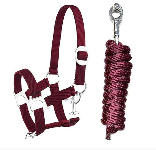 Halfter Führstrick Set mit Panikhaken verstellbar Pferdehalfter Pferd Holzpferd Anbindestrick (Panikhaken Wein, Mini Shetty)