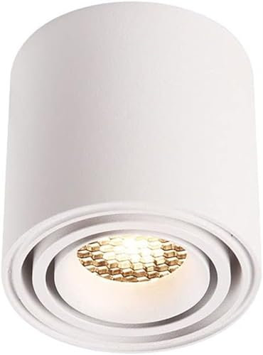 HSTBLEOO Faretto da soffitto bianco regolabile montato su superficie faretto d'accento per interni, faretti direzionali a LED per cucina soggiorno lampada da soffitto (colore: 5700k-15w)