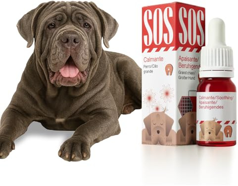 VOTUM Lugnande olja katter laxsmak för en daglig avkoppling | Avkopplande hundar perfekt för resor, smällare och stress | Lätt att använda och vegansk laxolja - (stor, avkopplande lax)