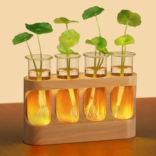 LED Reagenzglas Vase – 3-Farbige Beleuchtung & 9 Helligkeitsstufen – Beech Wood Basis mit Anti-Rutsch Pads – USB Pflanzen Terrarium Glas Vase für Wohnzimmer, Büro & Geschenk Deko