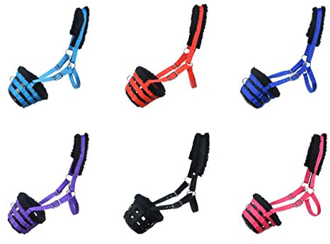 Sie Maulkorb für Pferde, Violett