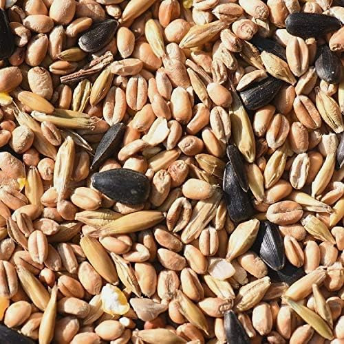 Leagrams All Year Round Wild Bird Food Seed Mix for Wild Birds (15kg)