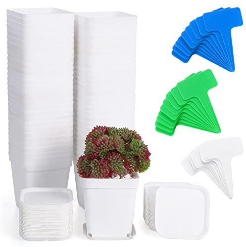 Fippy 60 Pezzi Vasi di Plastica per Piante, 7cm Vasi Quadrati per Piante con Vassoi ed Etichetta per Piante, Vasi per Piantine Mini Vasi di Plastica per Fiori per Giardino, Ufficio e Balcone, Bianco