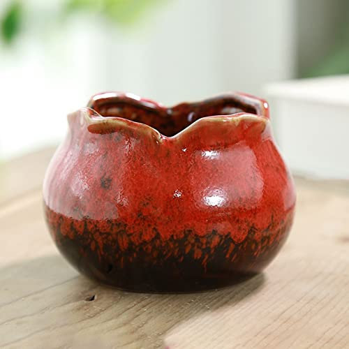 PERZOE Pot de Fleurs Succulent en céramique avec Trou de Drainage, Petit Pot de Plantes succulentes Cactus pour Plantes d'intérieur et d'extérieur Rouge
