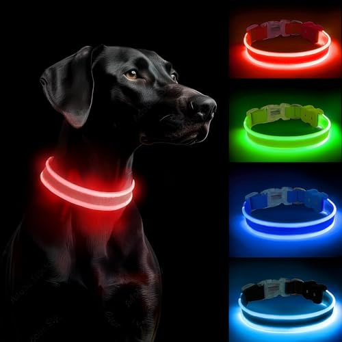PcEoTllar Leuchthalsband Hund Aufladbar, LED Hundehalsband Leuchtend mit 3 Leuchtmodi, Leuchtendes Hundehalsband Verstellbares Wasserdicht für Kleine Mittlere Große Hunde, Rot-M