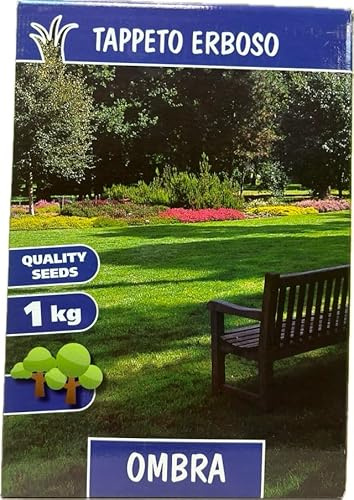 Miscuglio Prato Ombra 1kg – Semi per Zone Ombreggiate e Poca Luce – Copertura 50 m²