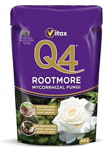 Vitax Q4 Rootmore Fertiliser Plant Food Feed Fruit Veg Flowers Roses Lawn 60g