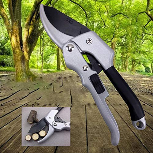 ATAAY 20 cm Main Jardin Ciseaux À Cliquet Usine Garniture Horticulture Arbuste Outil Enclume Branche Cisaillement Verger Élagage Sécateur Coupe sécateur