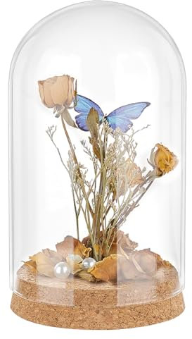 PH PandaHall Espositore In Vetro Cupola Cloche Campana di Vetro con Tappo In Sughero Piccole Bottiglie di Vetro Cupola Barattoli Decorativi per Conservare Fiori 16x9 cm