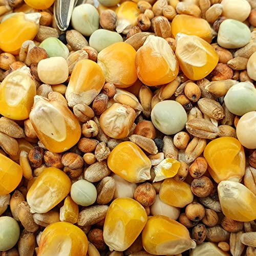 Gladen Allzeit 25kg - Premium Taubenfutter ganzjährig Vogel