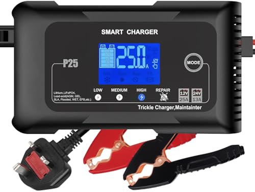 12V 24V Smart Car Battery Charger, 25 Amp LiFePO4, Lead-Acid(AGM/GEL/EFB/SLA) Fully-Automatic Battery Charger, Portable Battery Maintainer Trickle Charger For Car, Motorcycle, Boat, etc