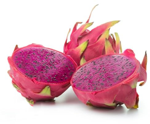 200 piezas Semillas de del dragón para de jardin exóticas resistentes al exterior resistentes al invierno para contenedores,