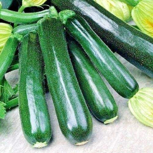 Garden Treasures Courgette Black Beauty Seeds Grow Your Own Vegetables