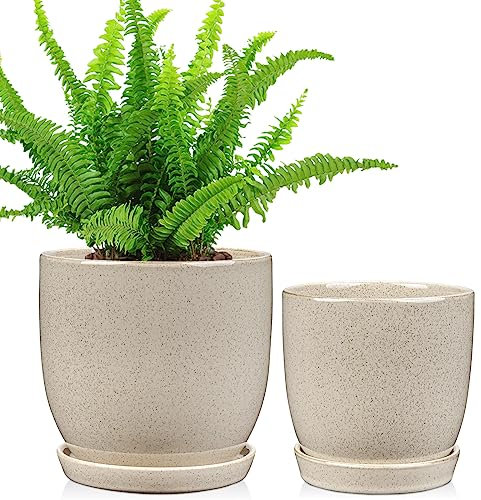 Oairse Set of 2 Ceramic Plant Pots 12CM 15CM Indoor Ceramic Planter with Drainage Holes and Saucers Tray Decorative Flower Pots Garden Pot for Succulent Cactus House Plants