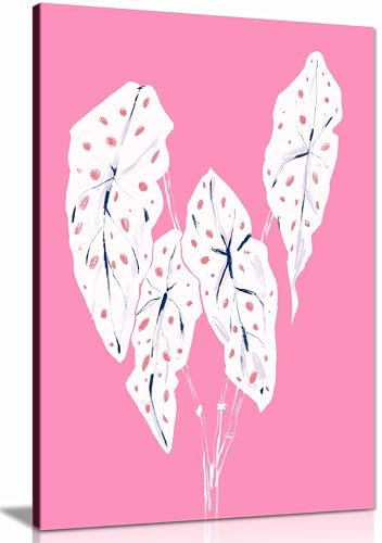 Begonia Maculata Pink Framed Canvas Print, Pictures for Home Walls, Bedroom, Living Room & Bathroom Decor 46x31cm (18x12in)