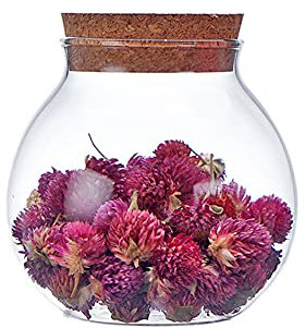 Bottiglie rotonde vuote in vetro sigillato, da 500 ml, in vetro trasparente, con tappo in sughero, per conservare biscotti, caramelle, spezie, ecc