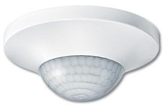 Argus presencia polar