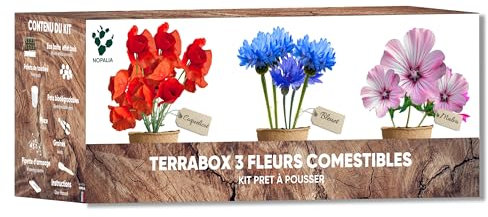 NOPALIA® Kit Fleurs Comestibles – Graines Bio Coquelicot, Mauve, Bleuet – Mini Jardin Intérieur & Extérieur –Jardinage Original – DIY Déco Écologique – Cadeau noel cuisine