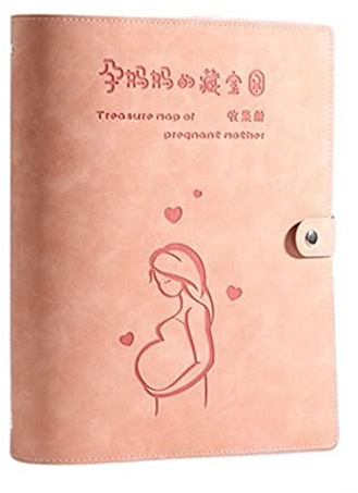 Cartella per rapporti di ispezione, libro di raccolta dati, raccolta dati per esami di gravidanza, impermeabile, foglia sfusa mappa del tesoro (rosa)