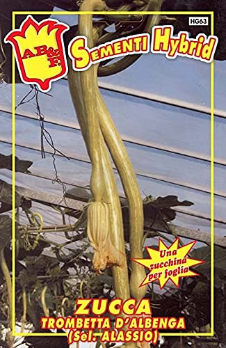 Zucca trombetta d'albenga Ibrida Sel.Alassio Semi in busta