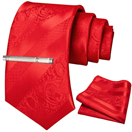 JEMYGINS Ensemble de cravates pour Hommes avec Motif de Roses et de Rayures Mélangées comprenant une Épingle à Cravate et un Mouchoir Rouge complet