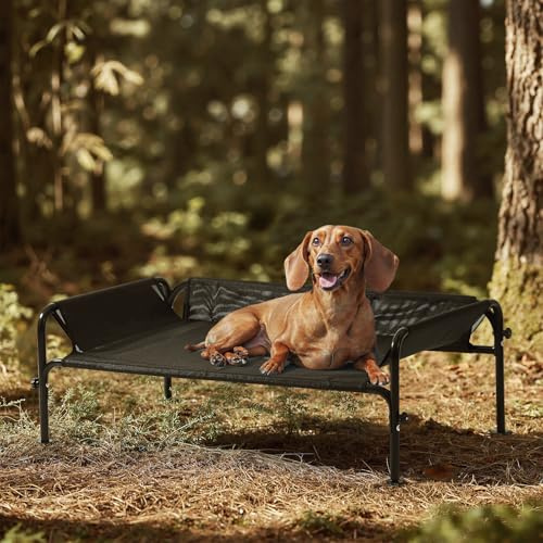 Gardner Pet Hundeliege Outdoor, Erhöhtes Hund Haustierbett, Kühlendes Hundebett für Draußen, Haustierliege Waschbar und Robuster mit guter Luftzirkulation, Schwarz, S, 88 x 55,5 x 31 cm