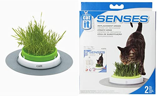 Catit Grass Planter, Katzengras, Katzengrastopf mit Abdeckgitter + Design Senses Gras Garten, Katzengras Nachfüllbeutel, 2er Pack