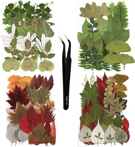 Huimai 129 foglie secche, fiori secchi, verdi, pressate naturali, per candele, resina, gioielli, sapone, cornici per foto, ciondoli