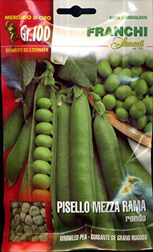 Franchi sementi sementi di qualità di piselli nani, mezza rama, rampicanti in confezioni varie (mezza rama rondo, 100 grammi)