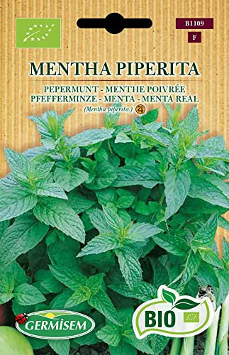 Germisem Pfefferminze MENTHA PIPERITA, ECBIO1109