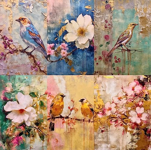 Distresses Birds - Carta di riso di gelso, 20,32 x 26,67 cm, 6 immagini uniche stampate in carta di gelso da 30 g/m², fibre visibili, per decoupage, artigianato, tecnica mista, collage artistico