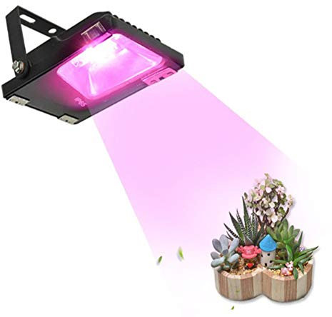 RANRANHOME LED élèvent la lumière Petite Plante 20W intérieure Plantes hydroponiques élèvent la lumière extérieure Plante intérieure Veg Fleur Floraison