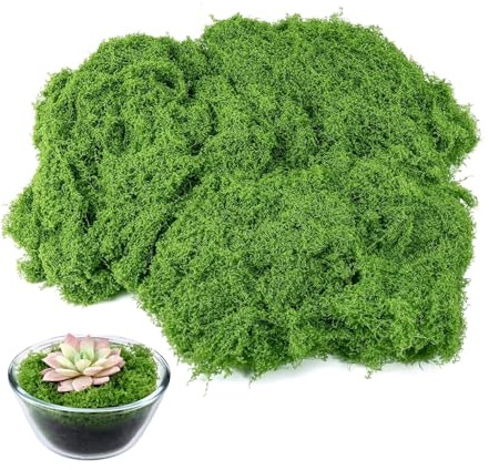 100g Fake Moss,Artificial Mosses for Indoor Plant Pots Craft Dried-Moss Planters Green Preserved Mosses Decorative Kits for Crafting,Potted Plants & Garden Arrangements Decorate,Diy Bulk Faux-Plant
