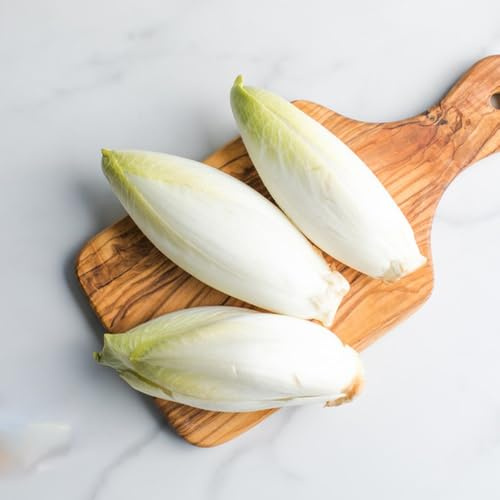 semillas de achicoria organicas interior, jardín con balcón, camas 200pcs