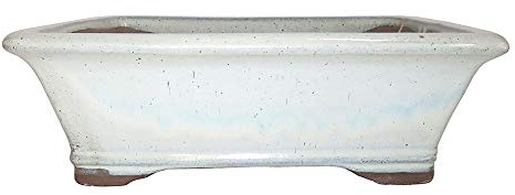 Brussel's Bonsai - Medium Ceramic Bonsai Planter, Rectangular Bonsai Pot
