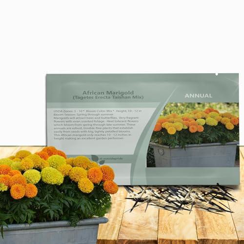 Outsidepride Taishan Mix African Marigold Seeds for Planting - 50 Pcs Annual, Compact & Heat-Tolerant, Flower Seeds w/Fragrant Foliage & Tight Petalled Blooms, Ideal for Vibrant Pollinator Gardens