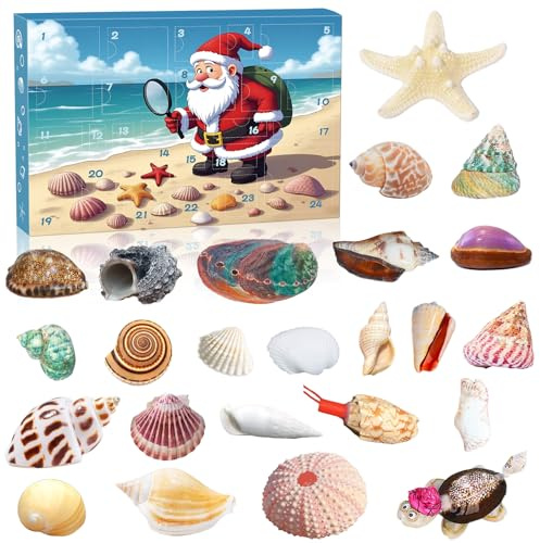 Muschel-Adventskalender 2025, 24 Tage Natürliche Muscheln Sammlung, Countdown-Kalender für Kinder