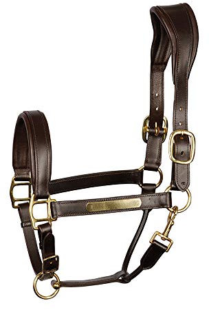 Harry's Horse 28500003-03-COB Anatomic Lederhalfter, Cob, Braun