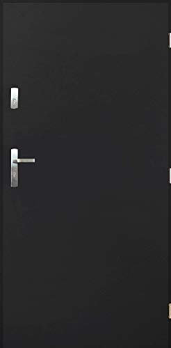 Porta di casa calda 1,3 Tango Nano Advance Porta d'ingresso in acciaio antracite (antracite [90] 990 x 2065 con telaio della porta a destra)