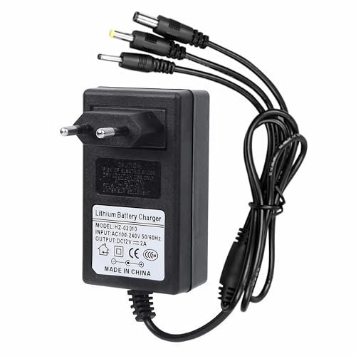 R49C 12V 2A Cargador para Coche Eléctrico y Juguetes Universal Compatible con Coche Infantil Motocicletas ATV SUV Seguro con Indicador LED y Conector 3 en 1 (Cable de 190 cm)