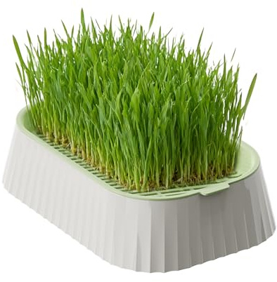 Groddskål för kattgräs – ABS-plast 19 x 12 cm, jordfri planteringslåda, vetegräs-groddare för husdjur | odla hälsosamt grönt livsmedel, hårbollar matsmältning, rengöring av tänder, kattungar träning