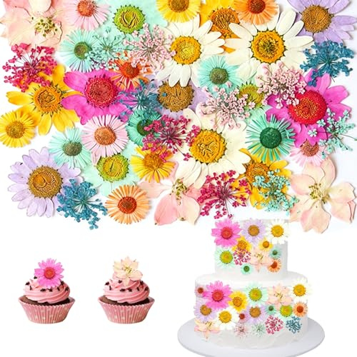 43 st Torkade Blommor för Tårtdekoration, Pressade Blommor för Bakning, Kakor och DIY-pyssel (Färgglad Mix)