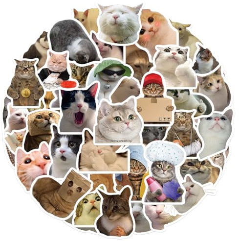 Roliga kattklistermärken 50 stycken, roliga meme cat klistermärken set för laptop vattenflaska resväska bagage skateboard hjälm mobiltelefonfodral dagbok, vinyl graffitiklistermärken för vuxna