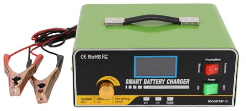 Cuifati Cargador de Batería Inteligente, Luz de Indicador LED de Cargador de Batería de Automóvil Inteligente Universal 800W para Motocicleta Automotriz (Enchufe de la UE)