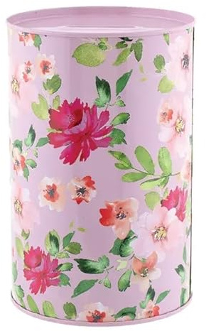 Fun Money Box, Savings Tin, Piggy Bank, 'I Can't Get In'