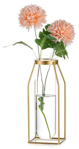 Sziqiqi Gold Gestell Glasvase - Metall Draht Blumenvase Reagenzglas Propagation Station für Hydroponik Moderne Zylinder Vase für Hochzeiten Weihnachten Muttertag