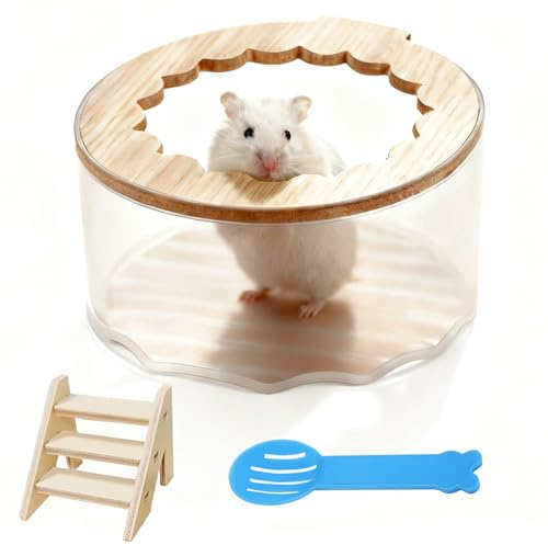 Behogan Bac de bain pour hamster - Sable transparent - Avec échelle et pelle - Pour hamster ou petit animal de compagnie (forme de fleur)