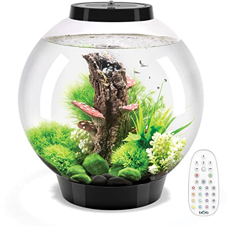 biOrb Classic 30 Acrylic 8-Gallon Aquarium with Multi-Color Remote-Controlled LED Lights Modern Tank for Tabletop Display, Black