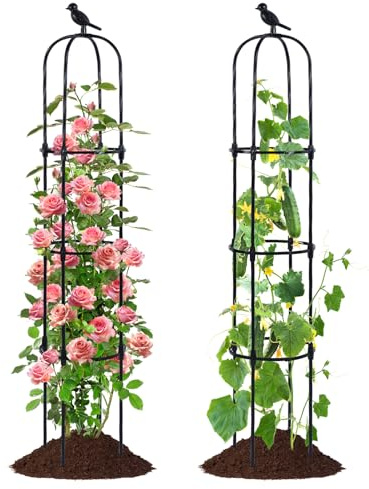 FOLLOOK Garden Obelisk Trellis for Climbing Plants Outdoor, Lightweight Climbing Plant Support Flower Roses Clematis Vegetable Light Vines Round Trellis for Raised Garden Bed Planter, Black, 2 Pack