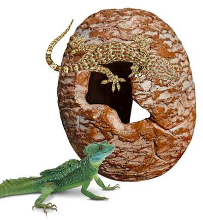 Duroecsain Cachette pour Reptiles - Abri en Forme d'œuf de Dinosaure pour Geckos léopard, Accessoires pour Jeux élevage, Escalade, Terrarium ou Refuge